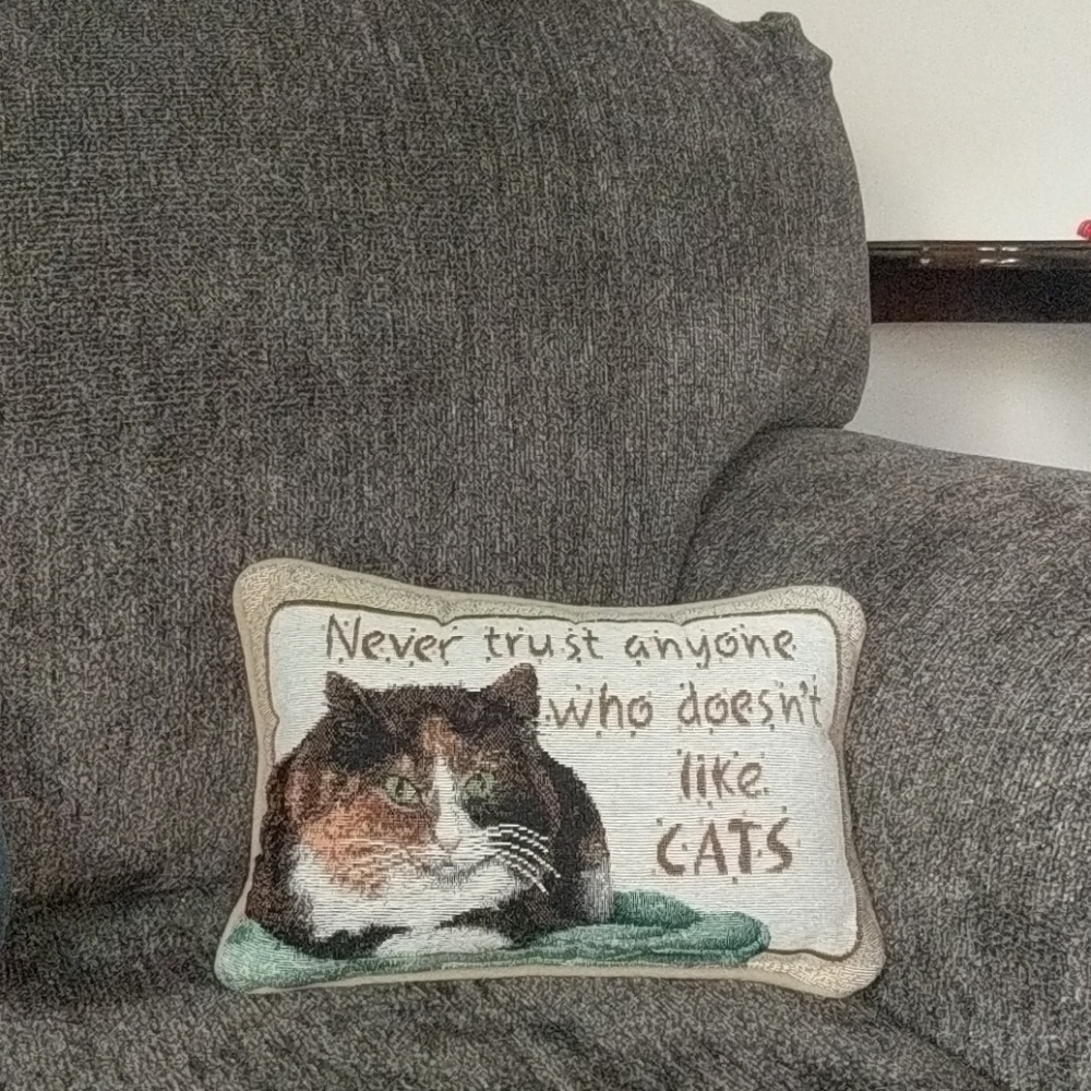 Never Trust Anyone Who Doesn't Like Cats Pillow